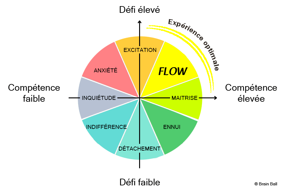 schema flow