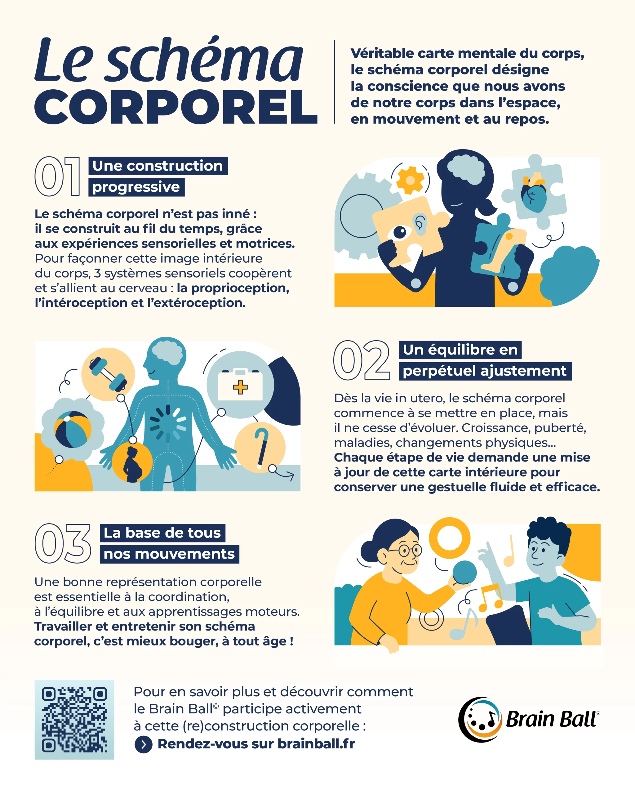 Infographie sur la notion de Schéma corporel - Brain Ball
