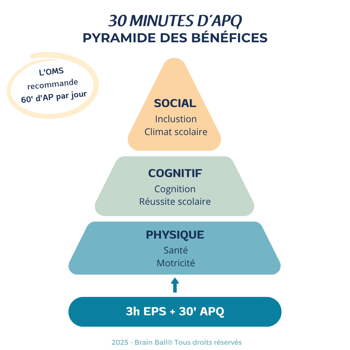 Infographie - pyramide des bénéfices des 30 min d'activités physiques - Brain Ball