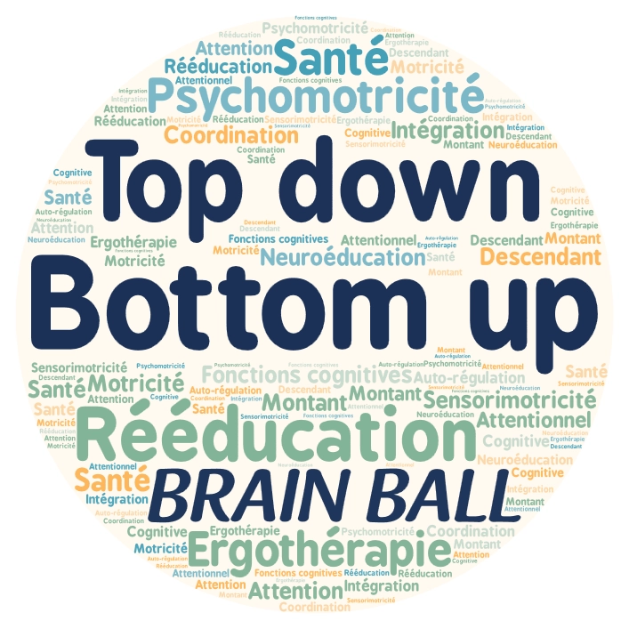 Nuage de mots autour de l Approche bottom up et top down en santé et rééducation