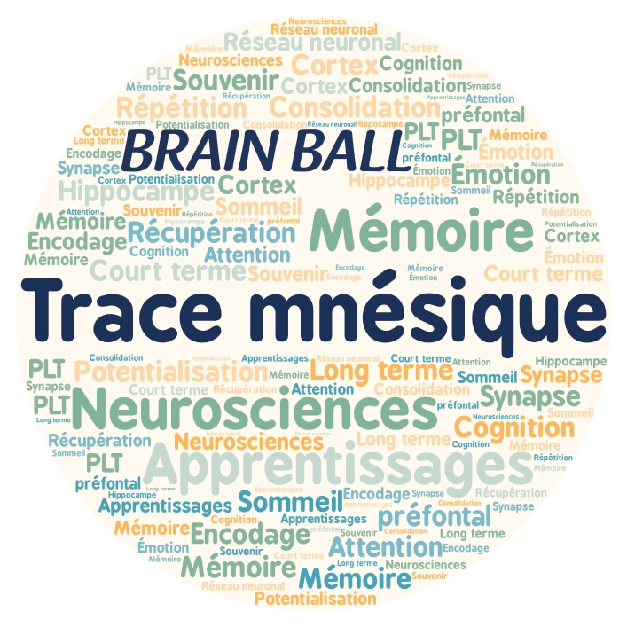 Nuage de mots autour de la notion de trace mnésique