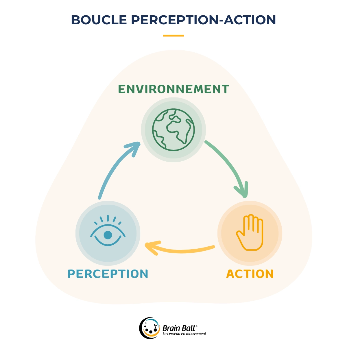 Schéma - Boucle perception-action - Brain Ball