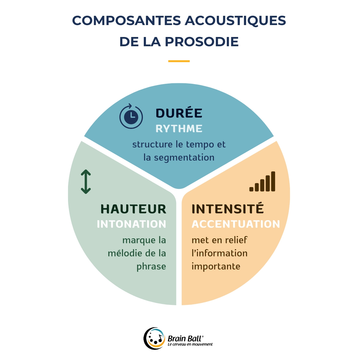 Schéma - composantes acoustiques de la prosodie - Brain Ball