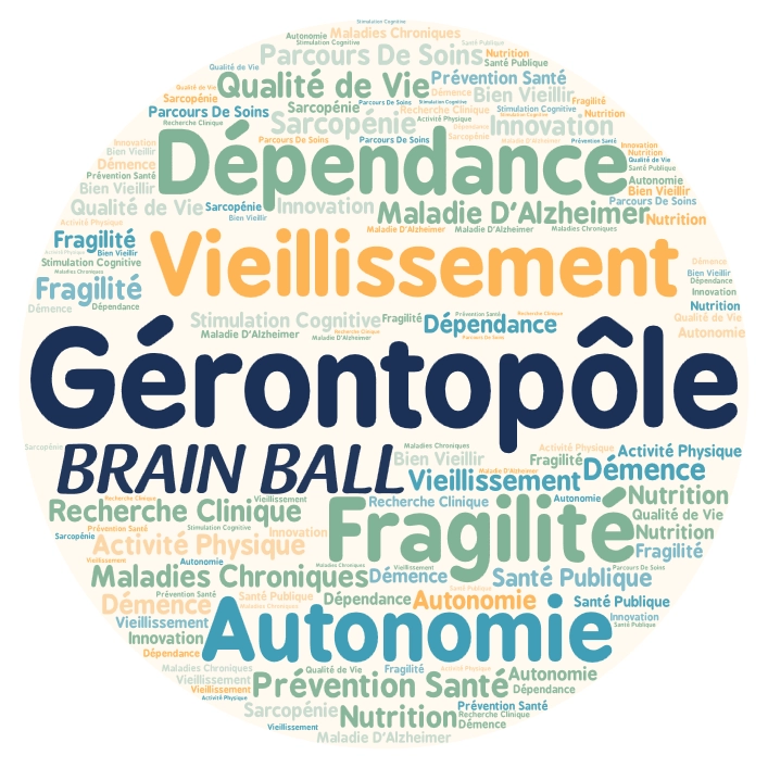 Nuage de mots autour de la notion de Gérontopôle