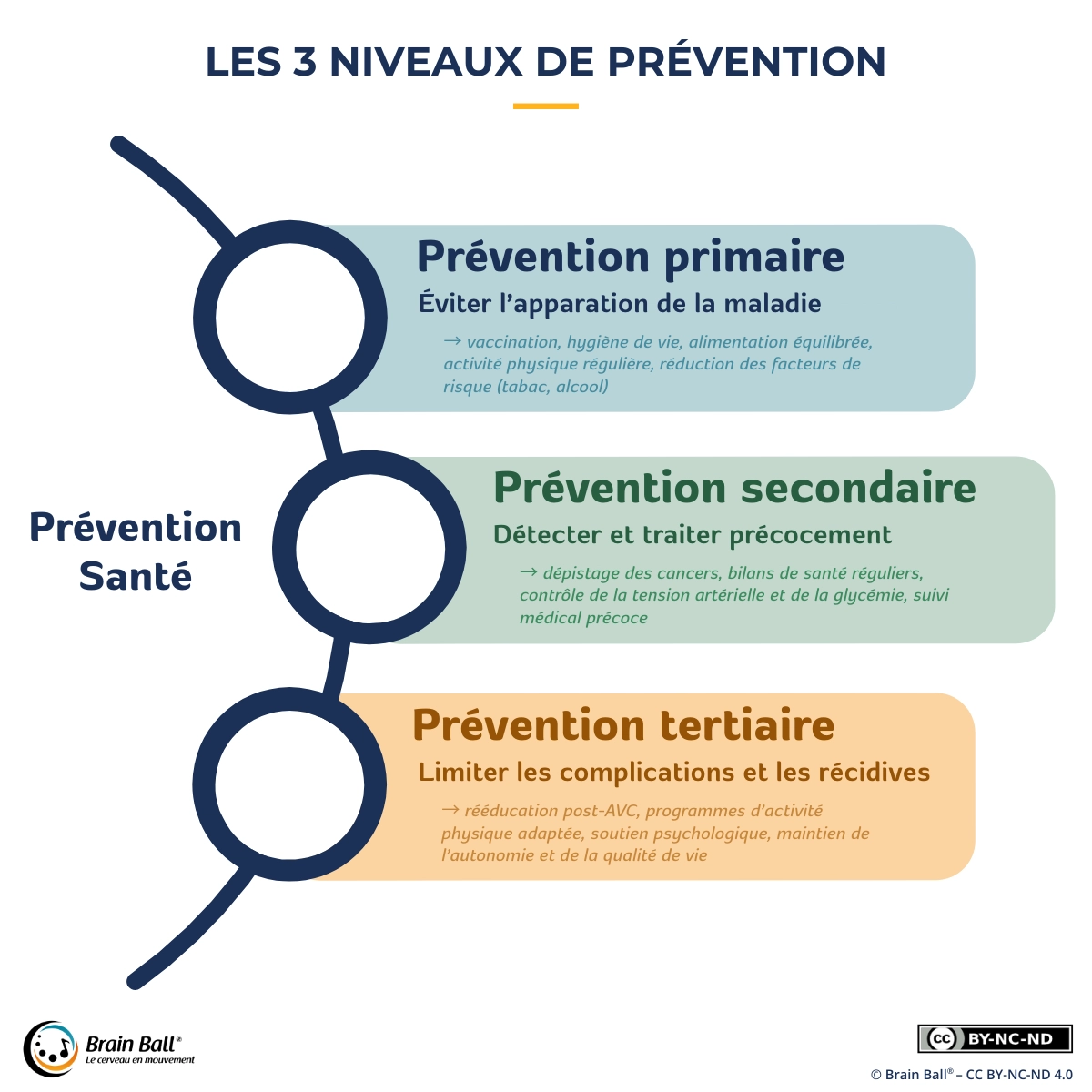Schéma des 3 niveaux de prévention santé : prévention primaire pour éviter la maladie, prévention secondaire pour détecter tôt, prévention tertiaire pour limiter complications et récidives.