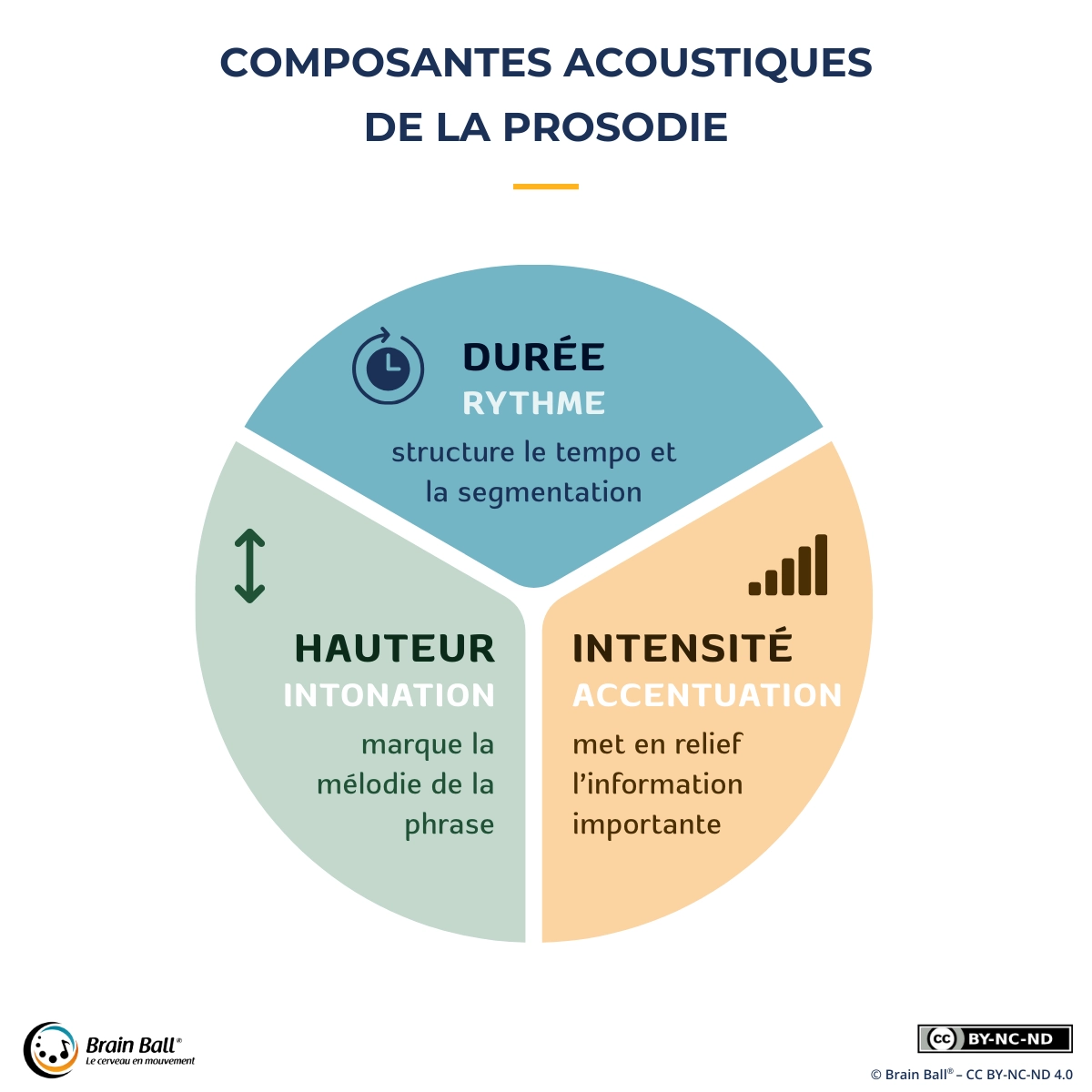 Composantes acoustiques de la prosodie : durée et rythme structurent le tempo, hauteur et intonation marquent la mélodie, intensité et accentuation mettent en relief l’information importante.