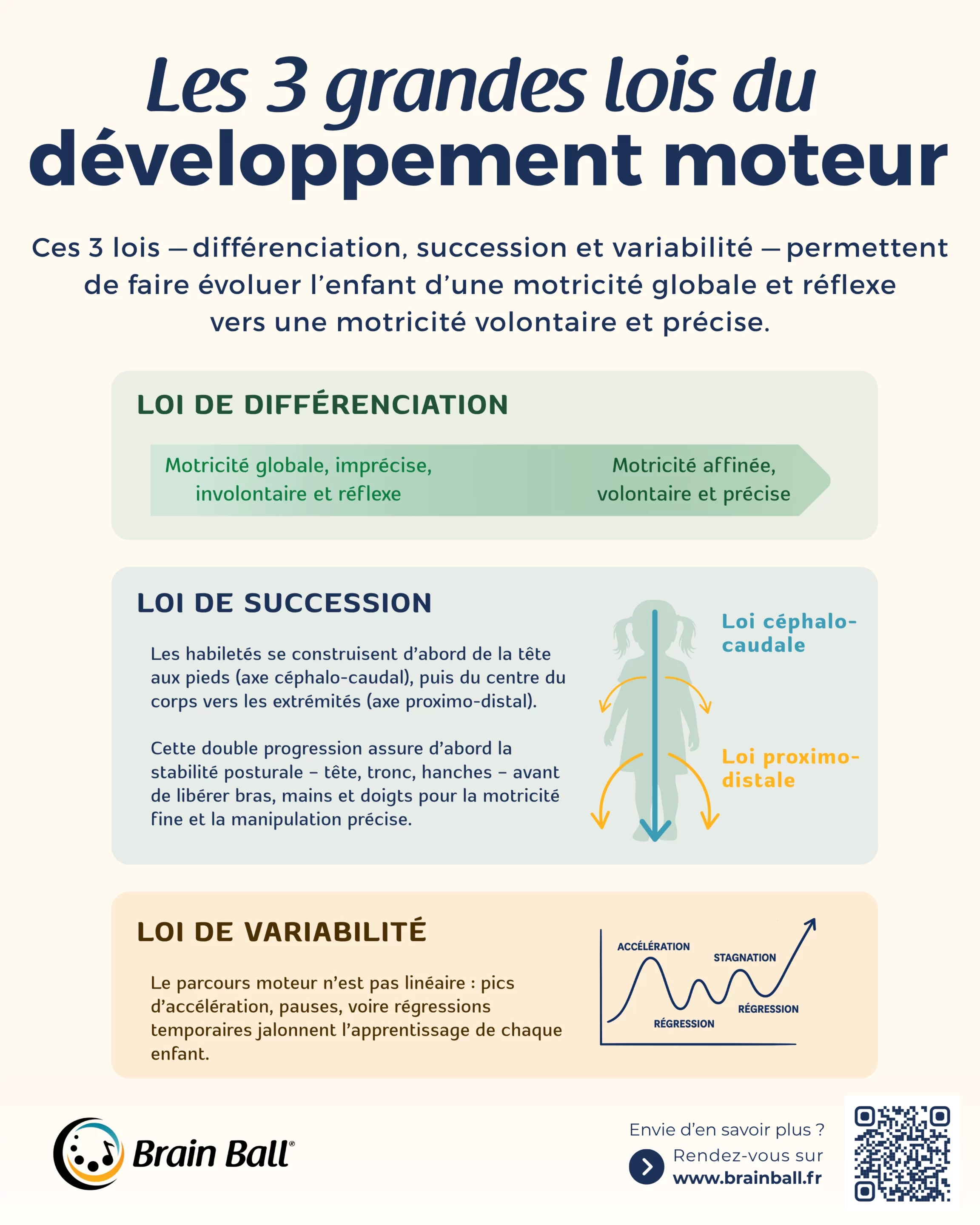Infographie des trois grandes lois du développement moteur : loi de différenciation, loi de succession (céphalo-caudale et proximo-distale) et loi de variabilité expliquant l’évolution vers une motricité volontaire et précise